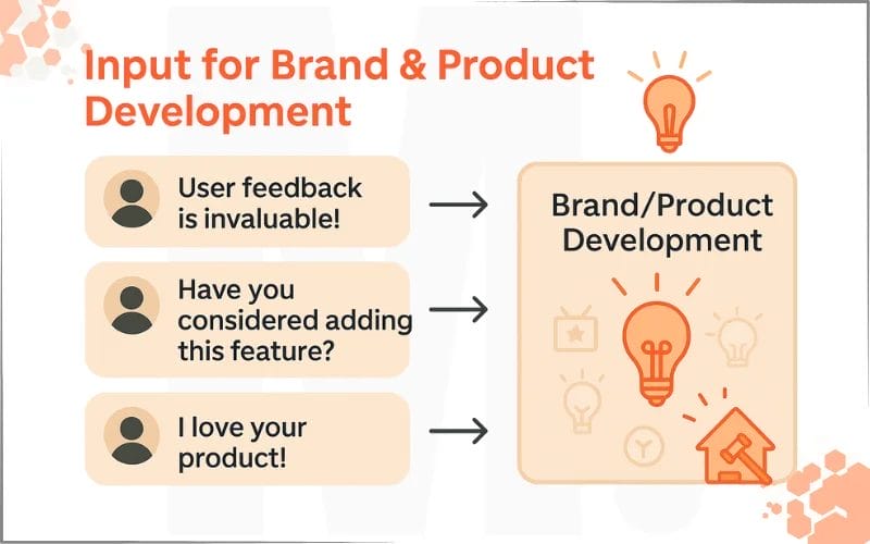 Input for Brand and Product Development